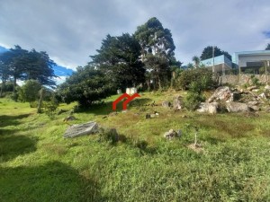 1llangrandcartago13.jpg