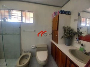 1llangrandcartago2.jpg