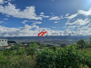 1llangrandcartago8.jpg